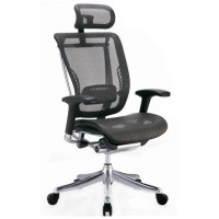 Эргономичное компьютерное кресло Expert  Spring HSPM-01 (черное)