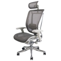 Эргономичное компьютерное кресло Expert  Spring SP-01G (серое)