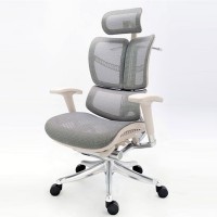 Эргономичное компьютерное кресло Expert  Fly-01G (серое)
